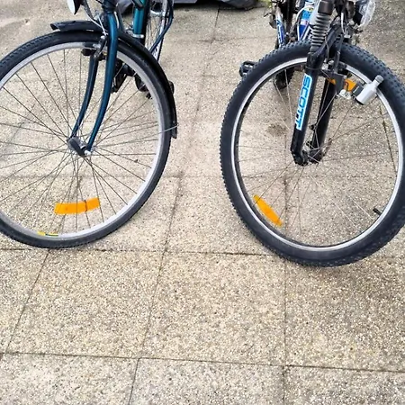 L'ecoliere Hébergement de vacances