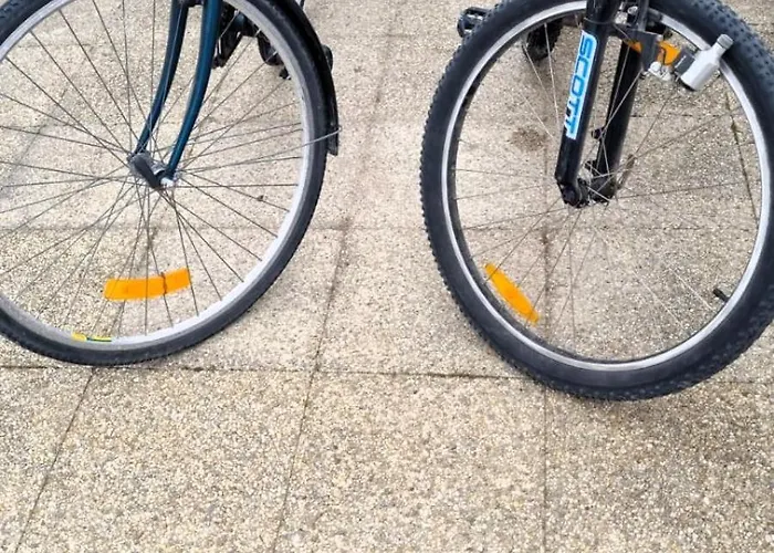 L'ecoliere Hébergement de vacances