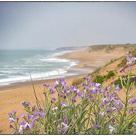 Tatil Evi L'ecoliere *